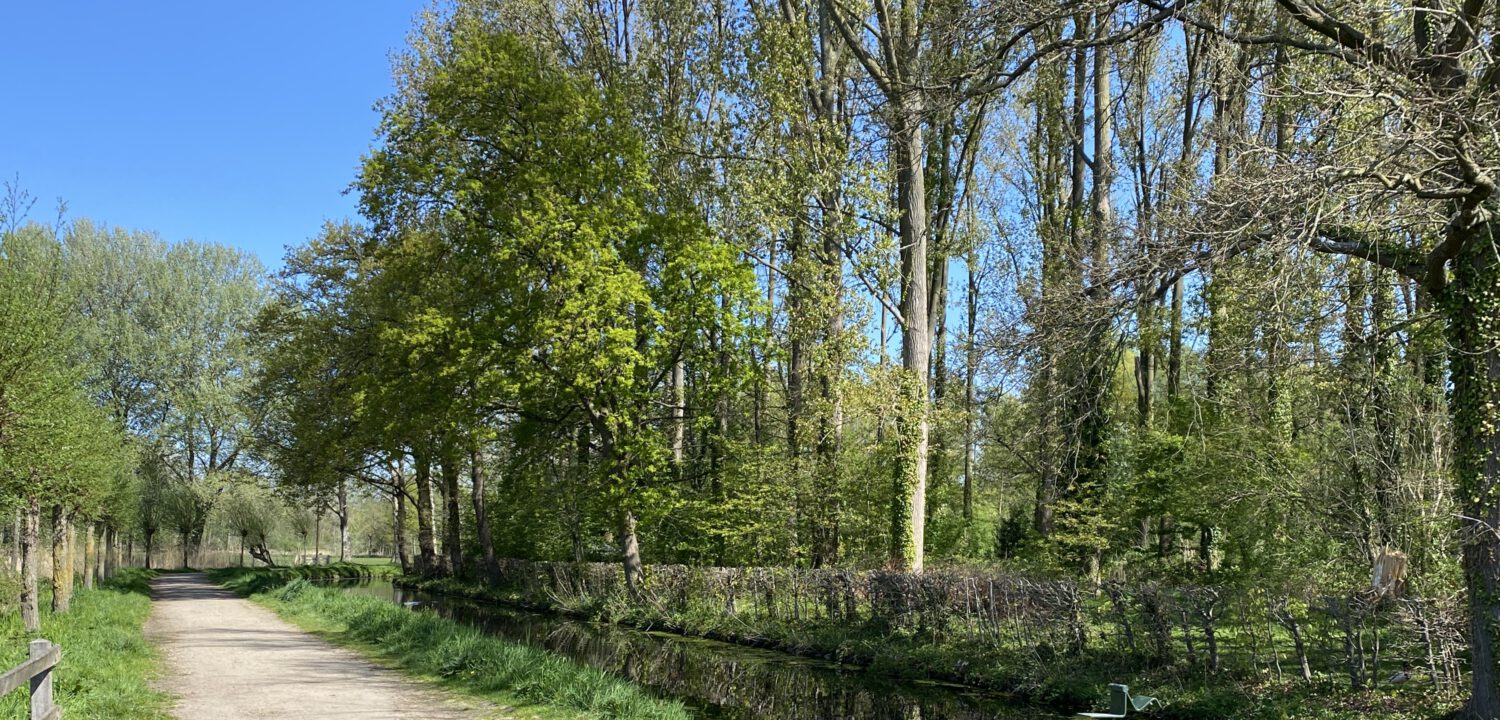 Een van de mooiste plekken in Helmond: natuurgebied de Bundertjes