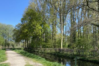 Een van de mooiste plekken in Helmond: natuurgebied de Bundertjes