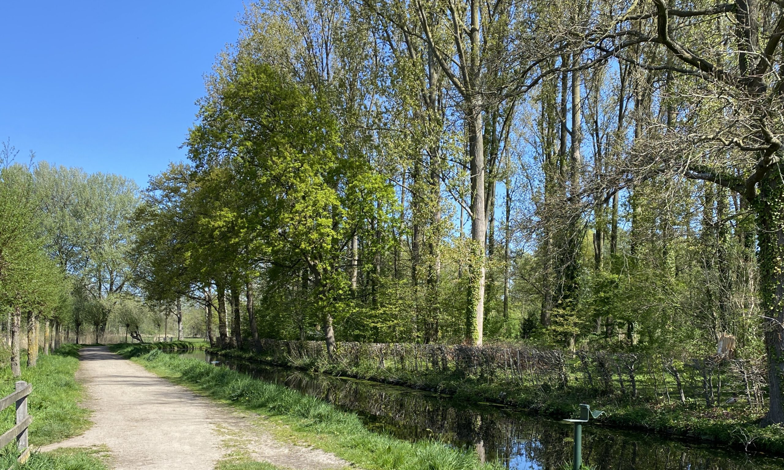 Een van de mooiste plekken in Helmond: natuurgebied de Bundertjes