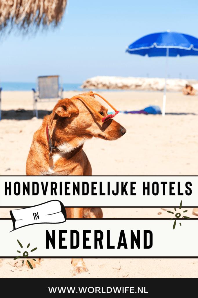 6 hondvriendelijke hotels in Nederland