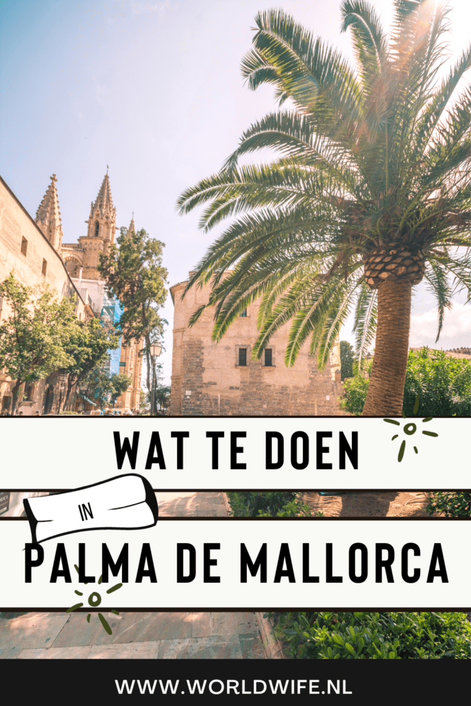 Wat te doen in Palma de Mallorca?