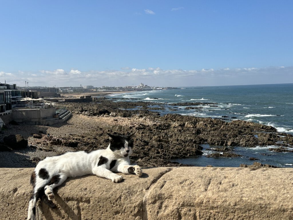 Waar ligt Casablanca, Marokko