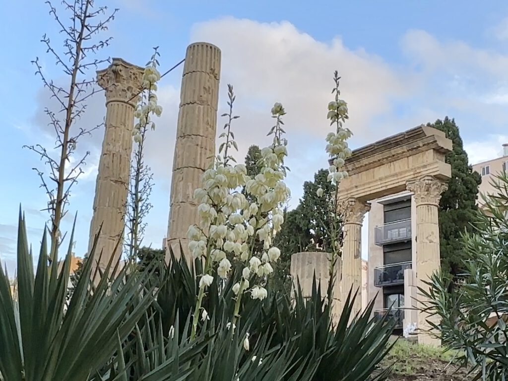 Tips voor een bezoek aan Tarragona, Spanje