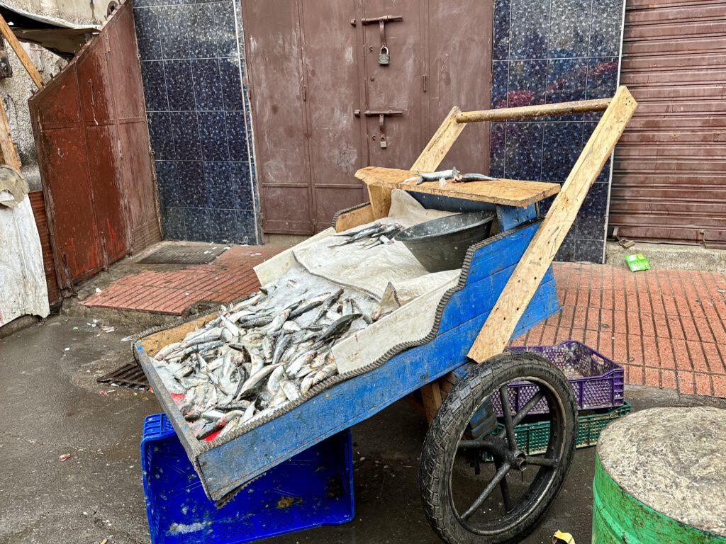 Verkoop van sardientjes in de oude medina in Casablanca