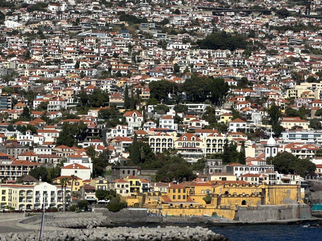 Cruise tips Middellandse Zee: wat te doen in Funchal op Madeira