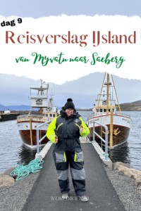 Reisverslag rondreis IJsland dag 9 van 11 - van Myvatn naar Saeberg.
