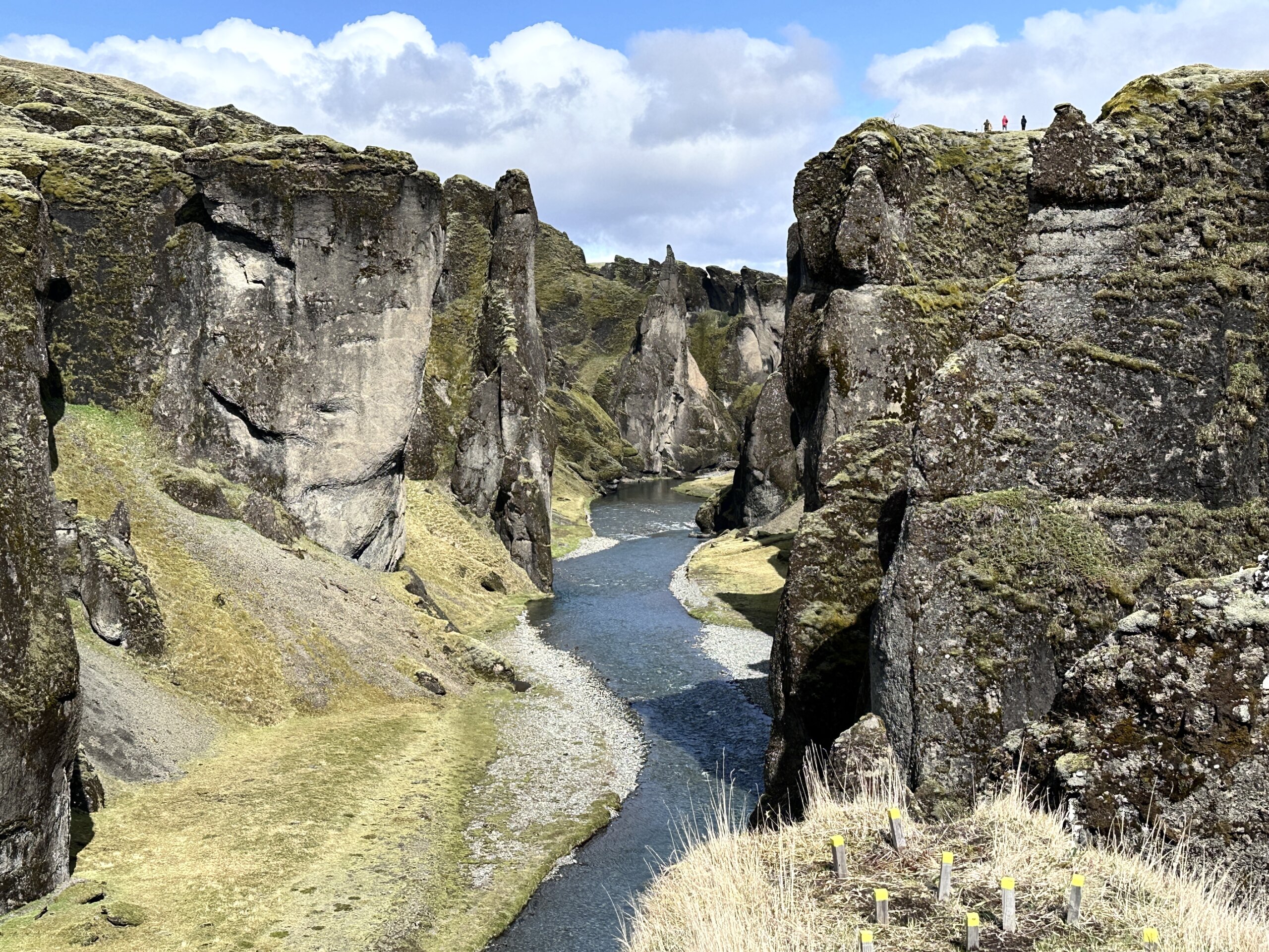 Fjadrargljufur, de mooiste kloof van IJsland.