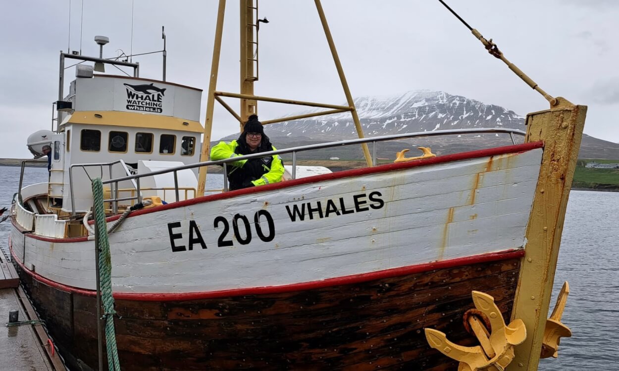 Walvissen in IJsland: de beste tijd en de beste plek.