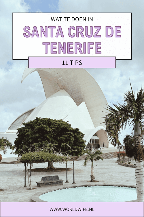 Op vakantie naar Tenerife? Bezoek dan ook de hoofdstad Santa Cruz. Lees alles over de bezienswaardigheden, tips en wat te doen in Santa Cruz de Tenerife in dit artikel.