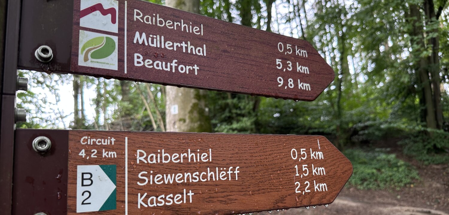 Wandelen in Luxemburg: Mullerthal Route B2.