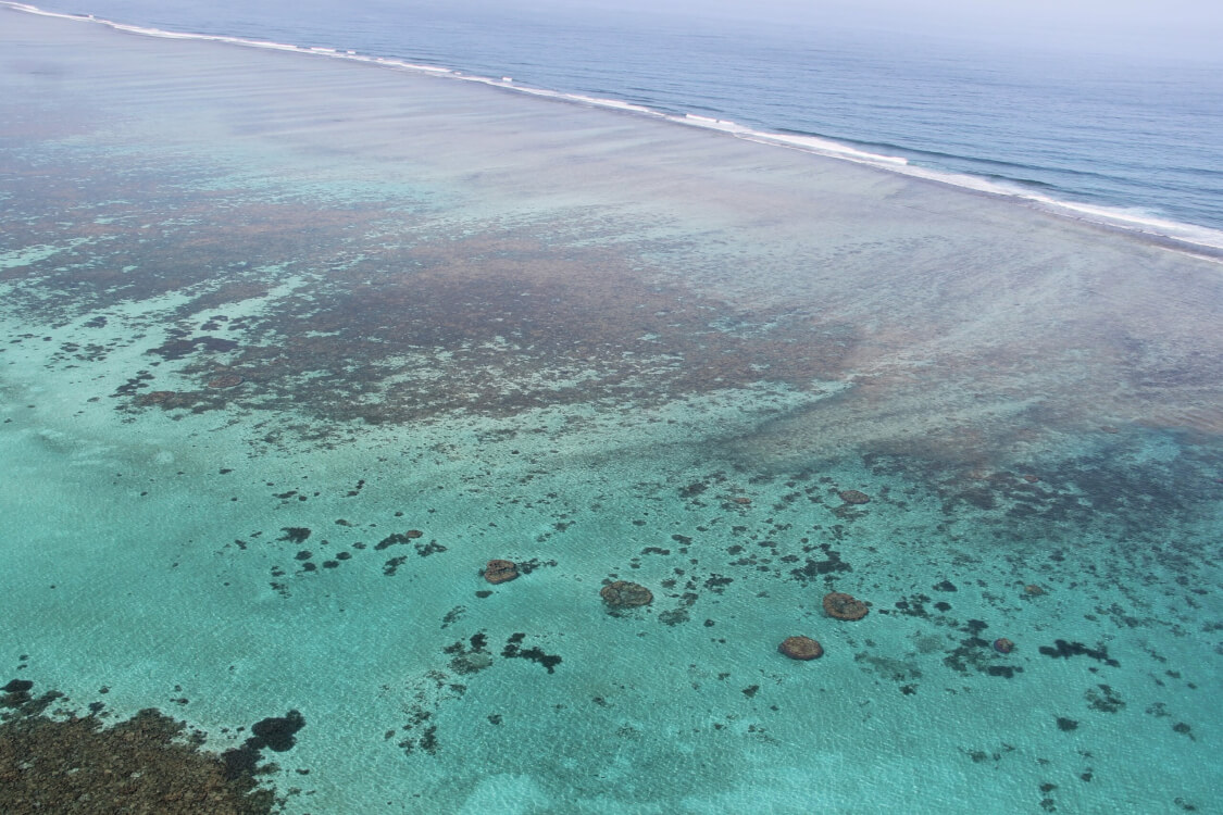 Ningaloo Reef West-Australië