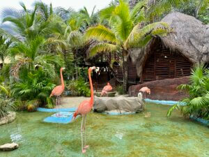 Hoe van Costa Maya naar Mahahual strand?