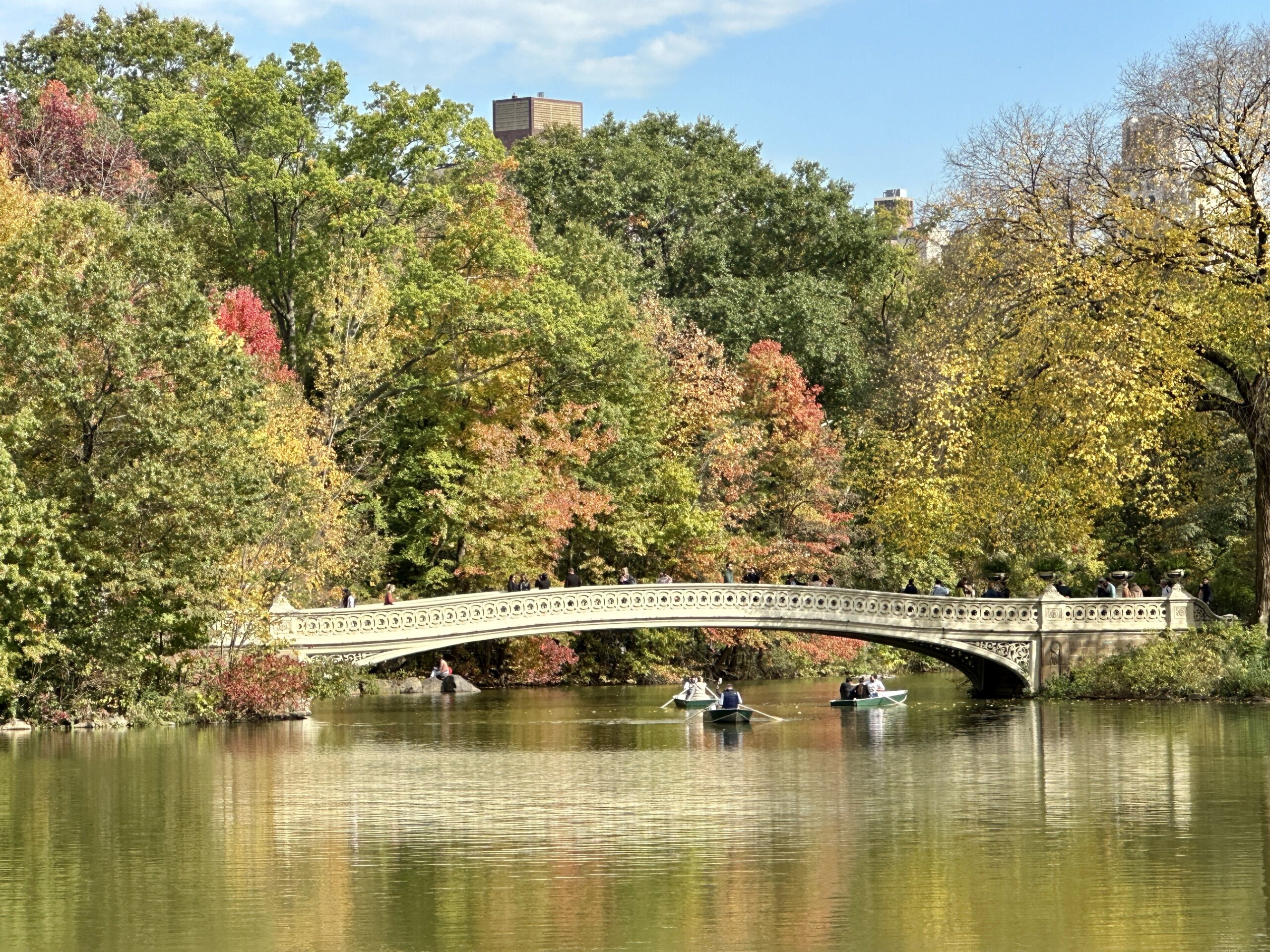 Bow Bridge Central Park