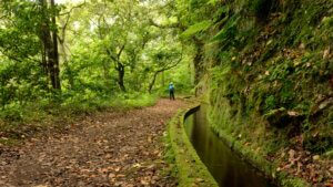 Mooiste levada wandelingen op Madeira.
