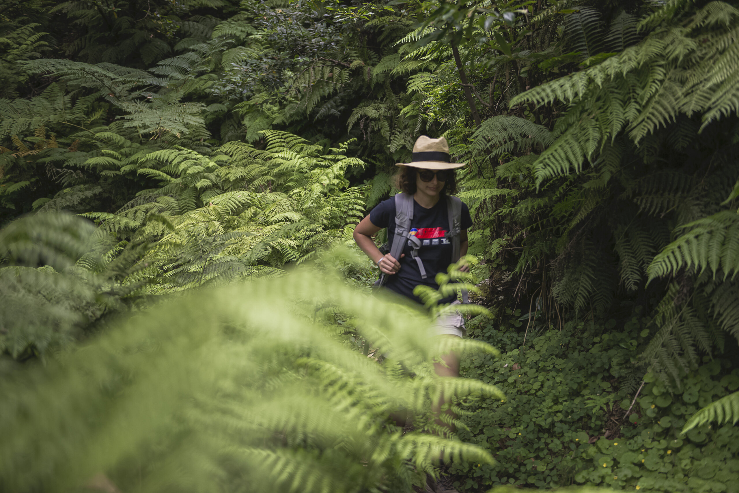 Levada Hikes Madeira.