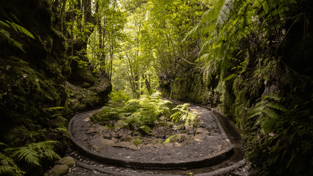 Mooiste hikes Madeira.