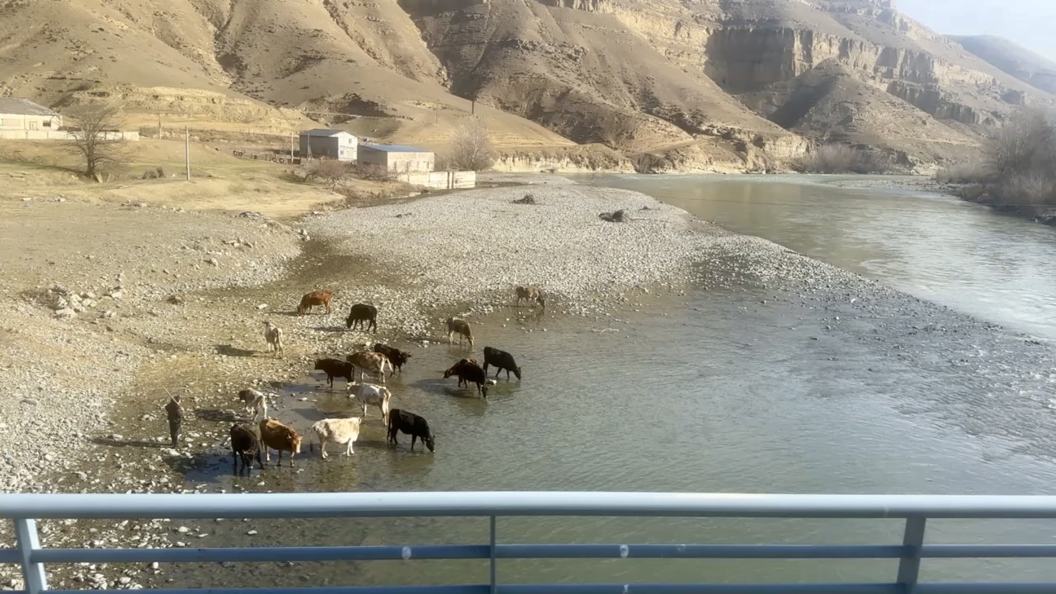 Doen in Tbilisi: een excursie naar Uplistsikhe.