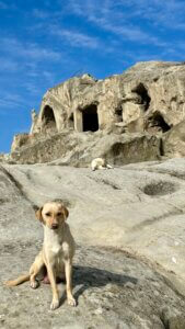 Uplistsikhe, een bijzondere dagtrip vanuit Tbilisi.