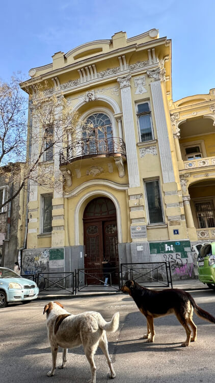 Public school no5 Tbilisi is een van de verborgen plekken in de wijk Sololaki.