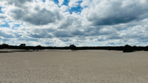 Tips voor een weekend in Soesterberg. Van fietsen langs de Soester Duinen en Paleis Soestdijk tot Park Vliegbasis Soesterberg en Thermen Soesterberg.