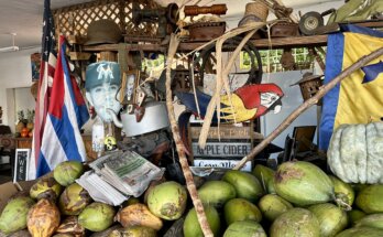 Wat te doen in Little Havana in Miami?