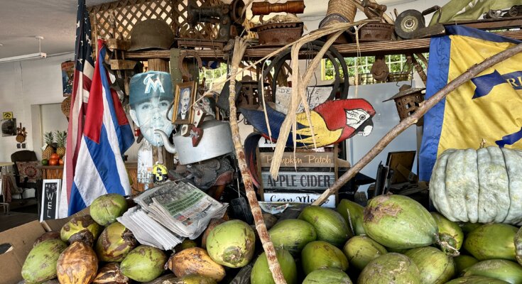 Wat te doen in Little Havana in Miami?