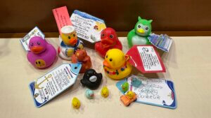 Alles wat je wilt weten over cruise ducks.