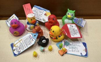 Alles wat je wilt weten over cruise ducks.