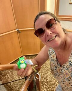 Cruise ducks: wat is het en hoe werkt het