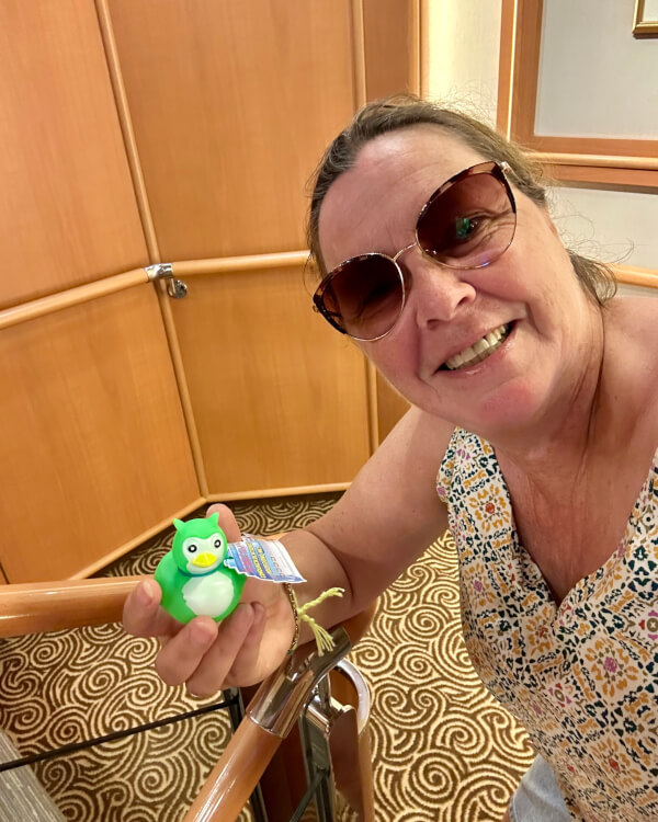 Cruise ducks: wat is het en hoe werkt het